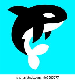 Killer Whale Orca vector 