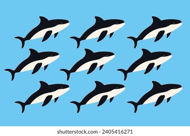 killer whale or orca vector with blue background