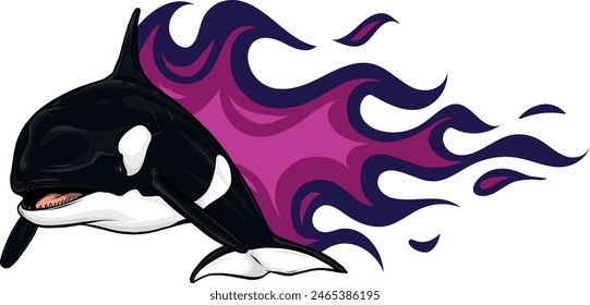 Killer Whale or Orca vector illustration design