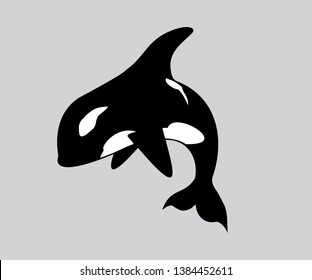 Killer whale, Orca whale. You can use as logo, symbol, sign, logo, wrap, decal, sticker and Cricut design. - vector