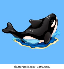 The killer whale (Orcinus orca) swims in the open sea. Vector illustration.