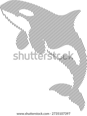 Killer whale outline with diagonal line fill, Orca stylized marine graphic