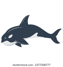 Killer whale outline vector illustration.Hand drawn killer whale.Underwater fish.Marine life.Isolated on white background.