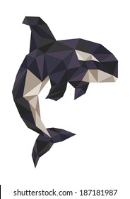 killer whale polygonal vector