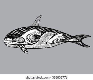 Killer Whale. Predatory whale. A fish. Sea creatures. The inhabitant of the ocean. Dolphin. Line art. Black and white drawing by hand. Stylized. Decorative. Tattoo.