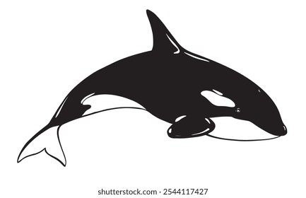 Logotipo de Vector de animales marinos de ballena asesina. Ilustración estilizada de Orca. Ballena asesina o ballena dentada, depredador marino saltando del agua con la cola curva. Dibujado a mano, imitación de la técnica de grabado.