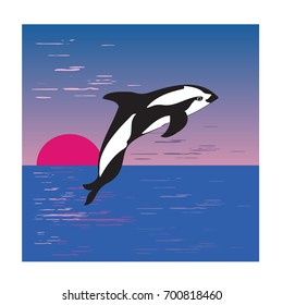 Killer whale  from the sea at sunset, vector illustration.