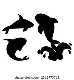 Killer Whale Set of Silhouettes on White Background