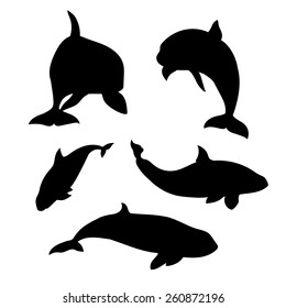 Killer whale set of silhouettes vector