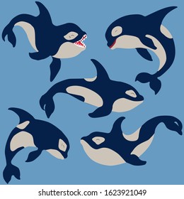 killer whale set, vector illustration isolated on blue background