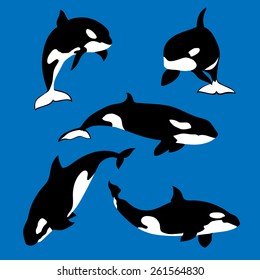 Killer Whale Set Vector Silhouettes White Stock Vector (Royalty Free ...