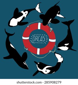 Killer whale show vector set illustration