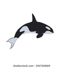 Killer whale. Simple vector illustration.