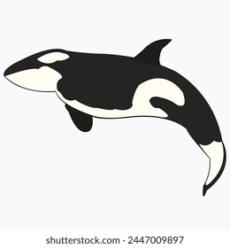 Killer Whale Spirit Orca Jumping Vector illustration isolated on white