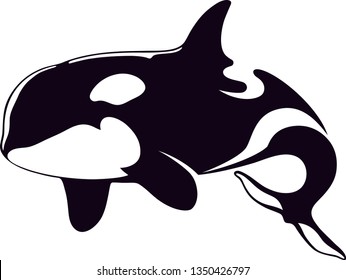 killer whale stylised