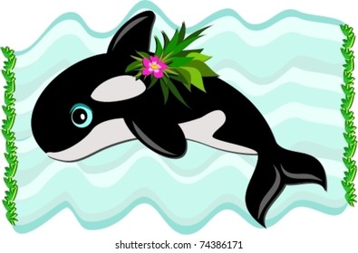 Killer Whale Swimming
