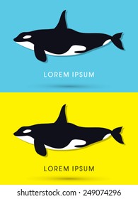 Killer whale swimming, cartoon, cute, logo, symbol, icon, graphic, vector.