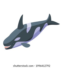 Killer whale swimming icon. Isometric of Killer whale swimming vector icon for web design isolated on white background