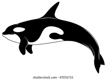 Whale Teeth Stock Vectors, Images & Vector Art | Shutterstock