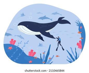 Killer whale and tiny scuba diver swimming under ocean water. Exploration of tropical marine life, underwater coral reef and fishes by character flat vector illustration. Wildlife, nature concept