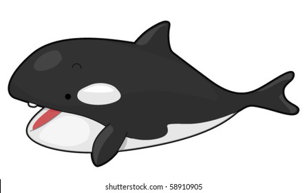 Killer Whale - Vector