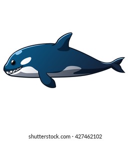 Killer whale, vector art and illustration.