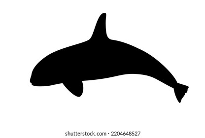 Killer Whale. Vector illustration of a black silhouette of a killer whale, orca isolated on white. Logo icon, side view.