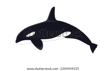 Killer Whale. Vector illustration Killer Whale, Orca Orcinus, isolated on white. Flat design, side view.