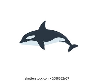 Killer whale vector isolated icon. Emoji illustration. Orca vector emoticon