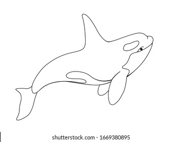 Killer whale - vector linear picture with sea mammal. Оrca is a marine cetacean for coloring. Beautiful graceful killer whale inhabitant of the underwater world. Outline.