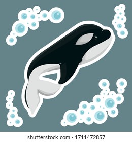 Killer whale vector with some bubbles. Each created object has a white border or a cut indent.