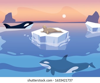 killer whale whit iceberg floating in in the sea vector illustration design