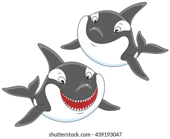 Killer whales