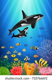 Killer whales cartoon with underwater view and coral background. Vector Illustration.