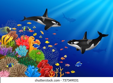 Killer whales cartoon with underwater view and coral background. Vector Illustration.