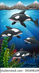 Killer whales swimming under the sea illustration