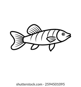 Killifish Line Art, Drawing Illustration and Outline Vector Design