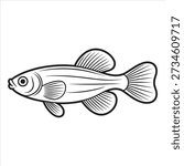 Killifish line drawing art coloring design