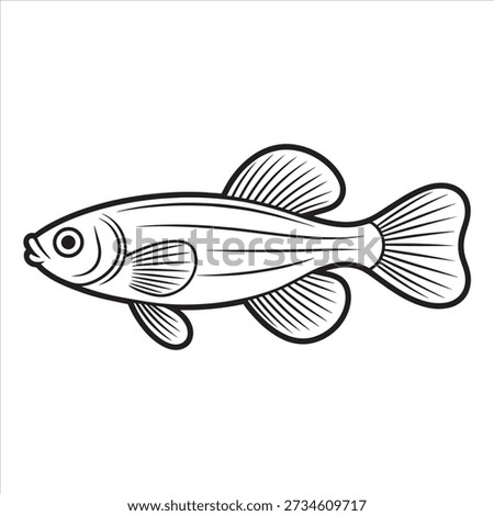 Killifish line drawing art coloring design