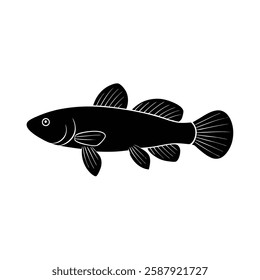 Killifish Silhouette Vector Art and Black Killifish Fish Design Illustration