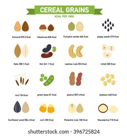 kilocalorie in cereal grains per100 gram infographics.vector illustration.