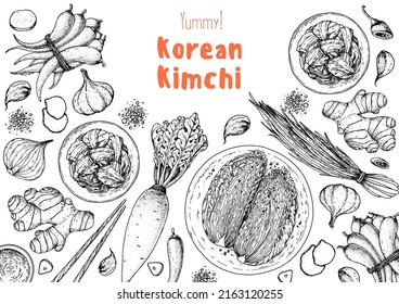 Kimchi cooking and ingredients for kimchi, sketch illustration. Korean cuisine frame. Healthy food, design elements. Hand drawn, package design. Asian food.