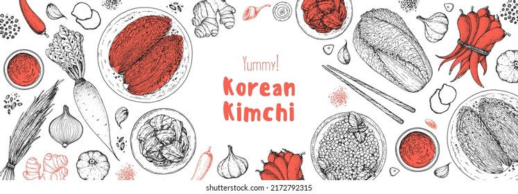 Kimchi cooking and ingredients for kimchi, sketch illustration. Korean cuisine frame. Healthy food, design elements. Hand drawn, package design. Asian food