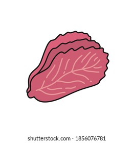 kimchi, korean dish doodle icon, vector illustration