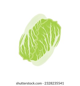 Kimchi Logo Design, Korean Traditional Food Vector, Cabbage Green Vegetable Logo Illustration, Company Brand Icon