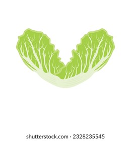 Kimchi Logo-Design, traditioneller koreanischer Lebensmittelvektor, Cabbage Green Gemüse Logo Illustration, Firmenmarkensymbol