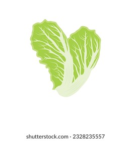 Kimchi Logo Design, Korean Traditional Food Vector, Cabbage Green Vegetable Logo Illustration, Company Brand Icon