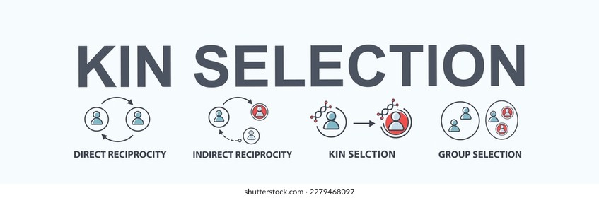 Kin selection theory banner web icon for Mechanisms of Natural selection, Direct, Indirect reciprocity, Kin selection and Group selection. Minimal flat cartoon vector infographic.