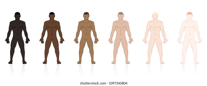 kin types. Six naked men of different ethnic colors from black to brown to fair. Isolated vector illustration on white background.
