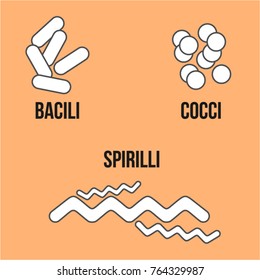 Kind of Bacteria